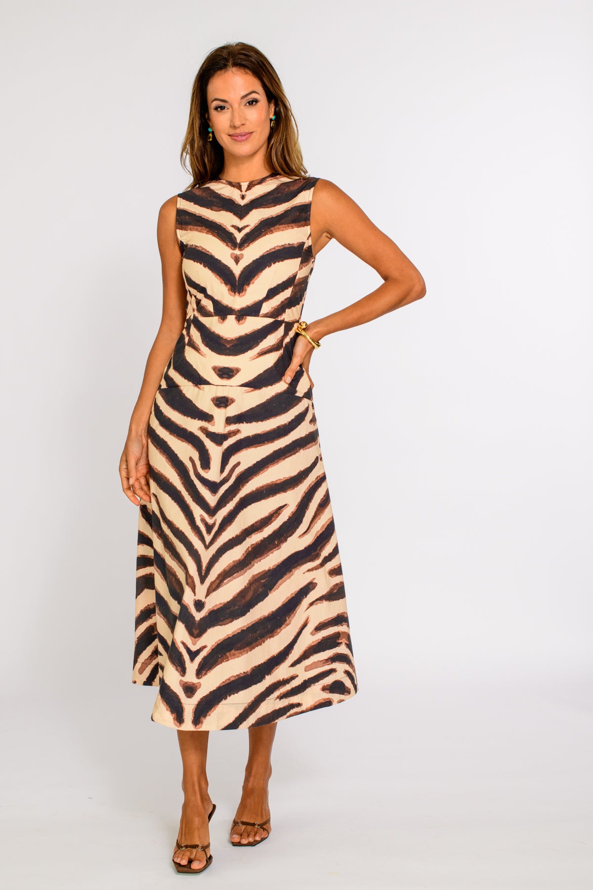 Claire Dress in Zebra Elizabeth Ackerman Designs, LLC Claire Dress in Zebra Elizabeth Ackerman Designs, LLC