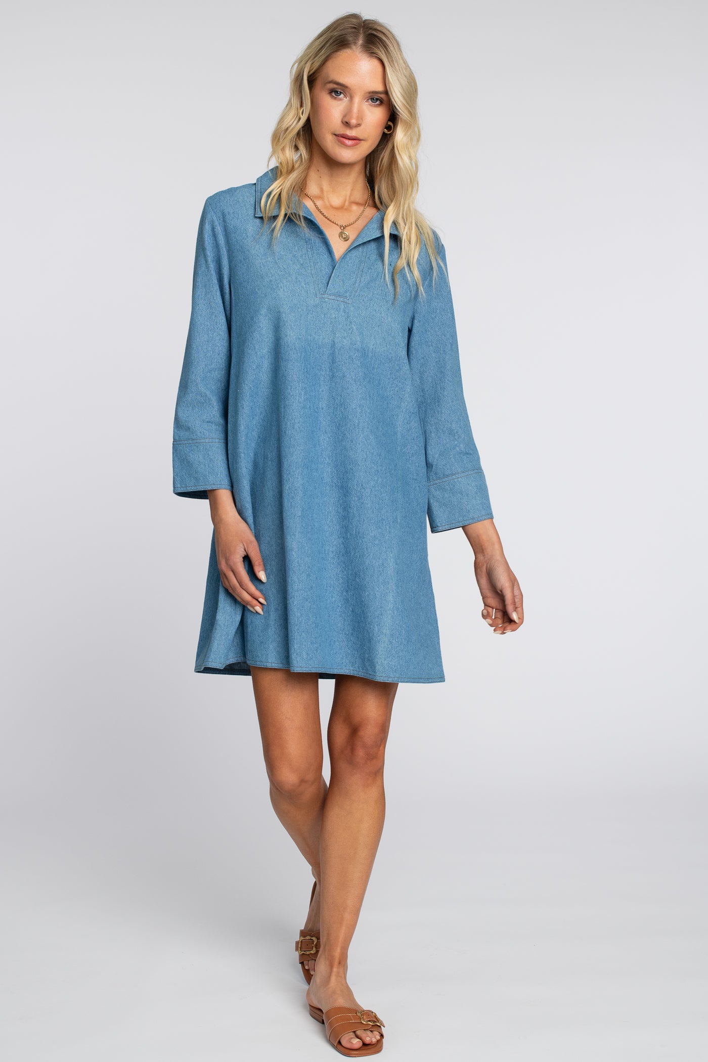 Taylor Dress in Denim