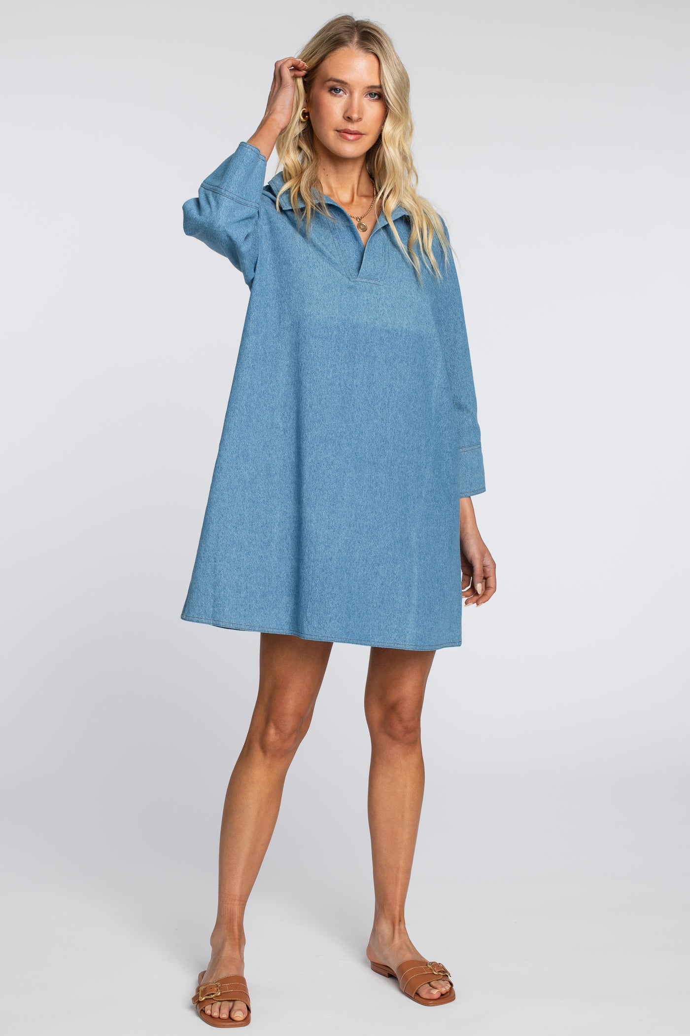 Taylor Dress in Denim