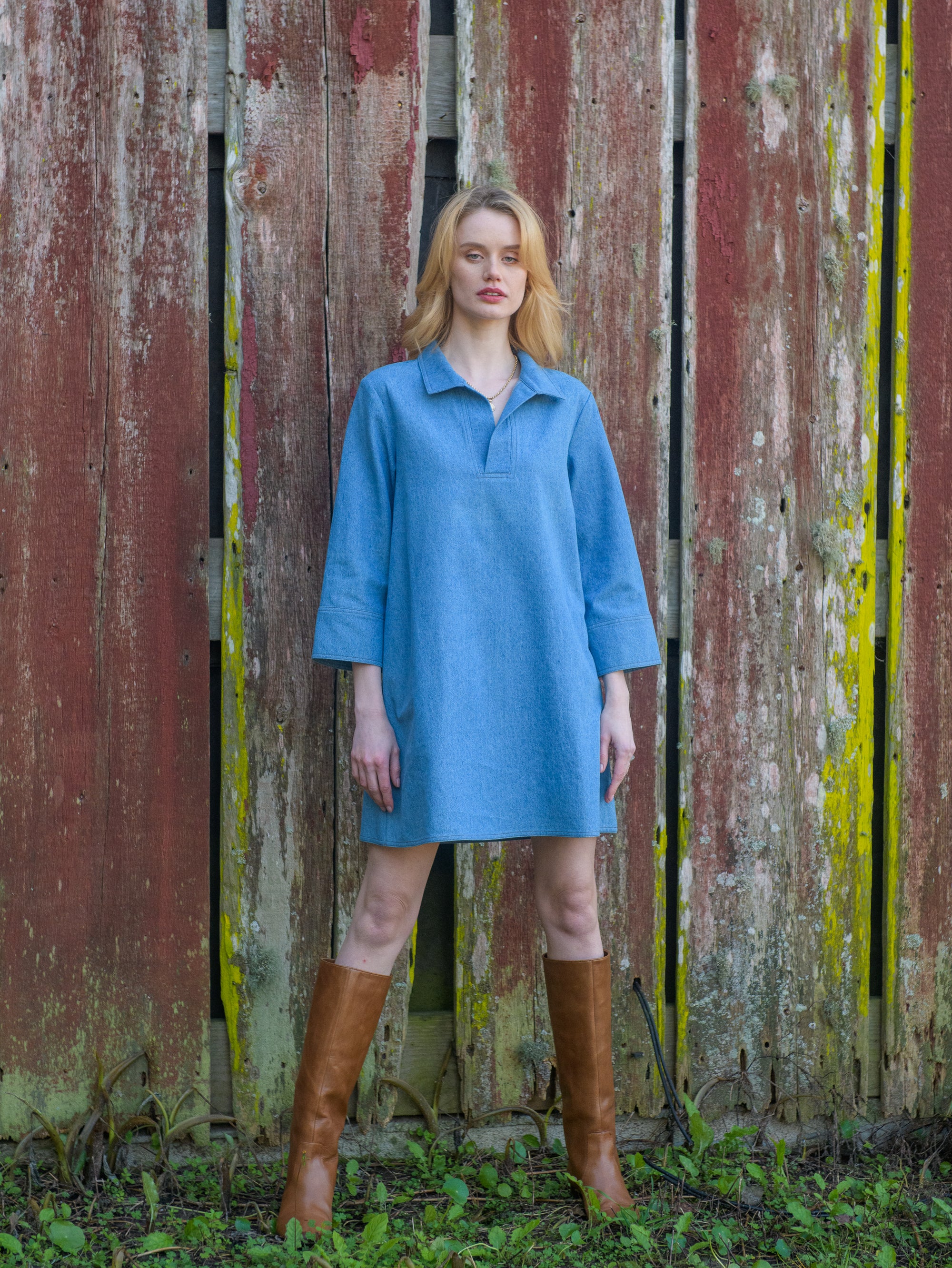 Taylor Dress in Denim