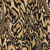 Burl