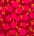 Rosebud