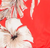 Tropicalia Scarlet Grande